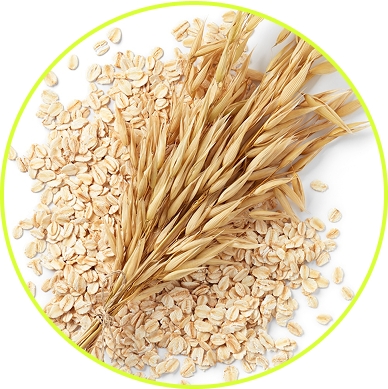 Oat Beta Glucan