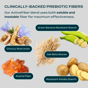 CORE FIBER