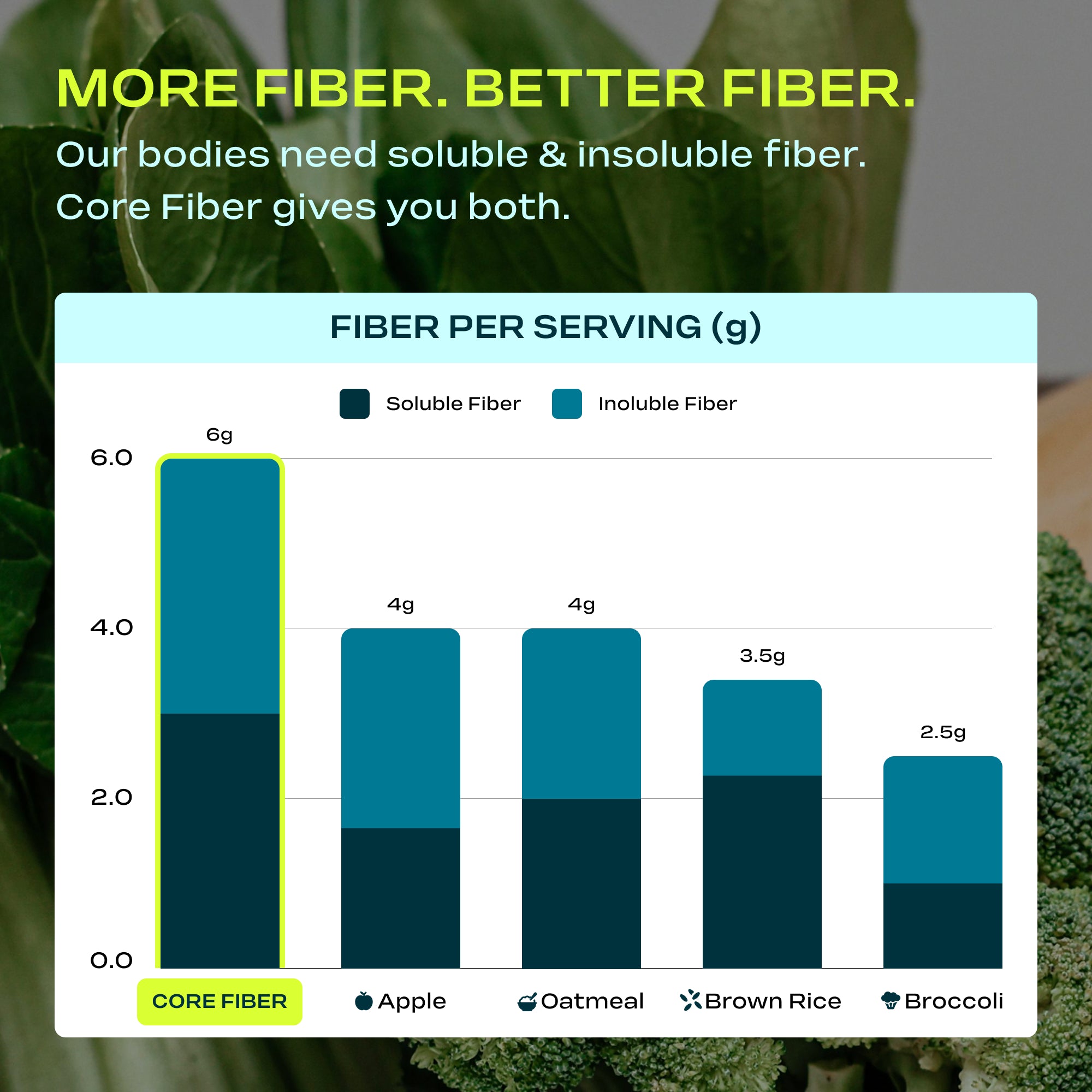 CORE FIBER