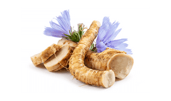 Chicory root inulin