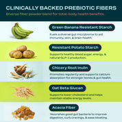 CORE FIBER - Strawberry Kiwi